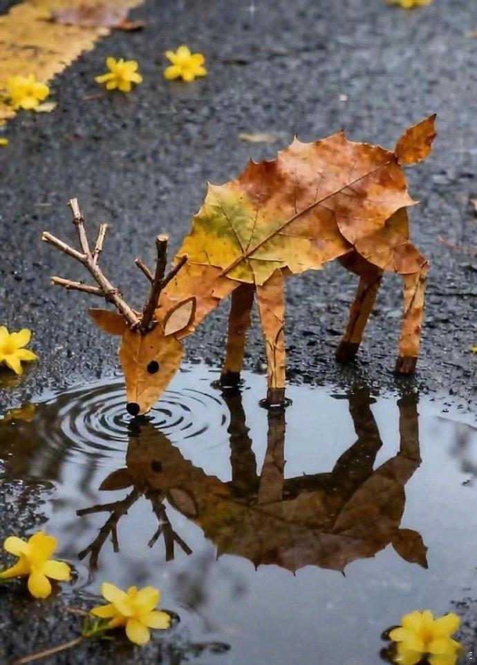 落叶知秋🍂 秋色之约唯美境意背景图～  