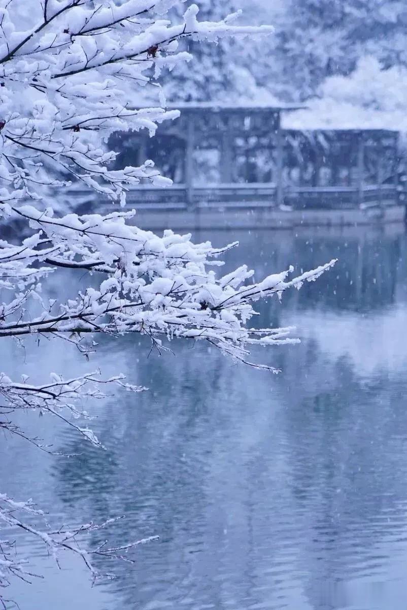 风吹雪片似花落，雪晴云淡皆所愿