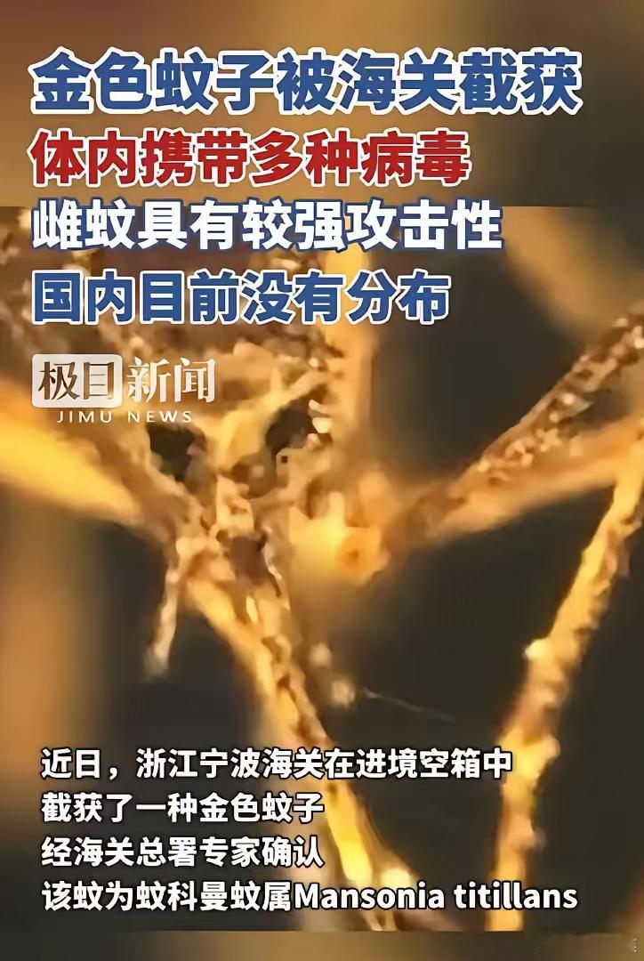 美帝国主义又耍阴招啦！又来中国放毒了。宁波港口近日查获一批来自美帝的货箱，里面不