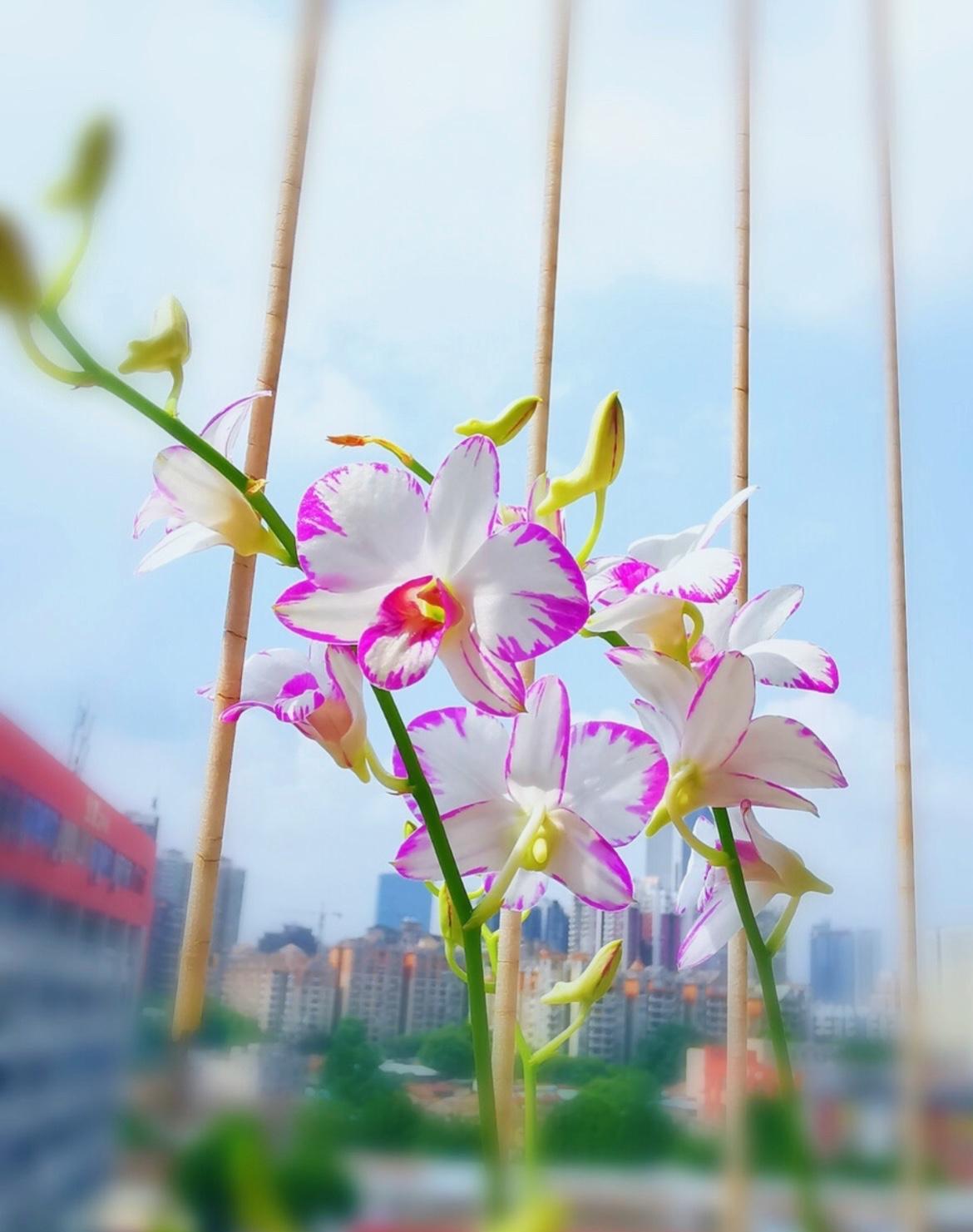 华为不是发钱，是把公司当家。
13万人持股，600亿分下去，不是施舍，是共担风险