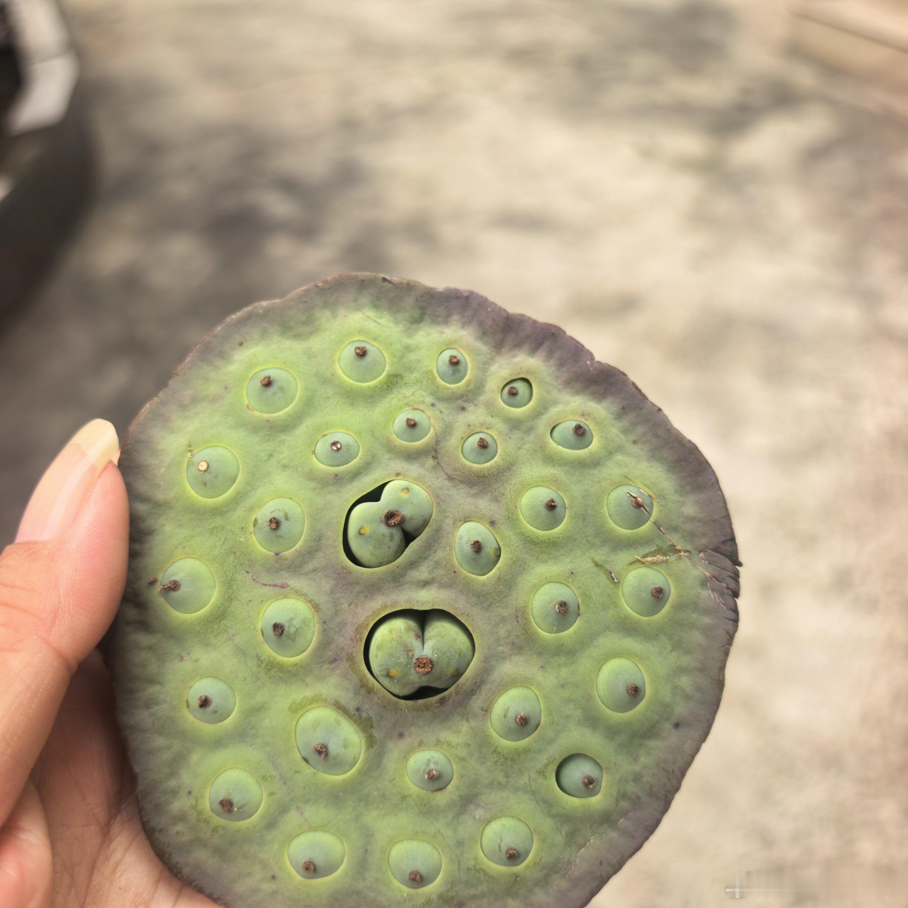 我妈说给我买了好吃的，一看，莲蓬。 