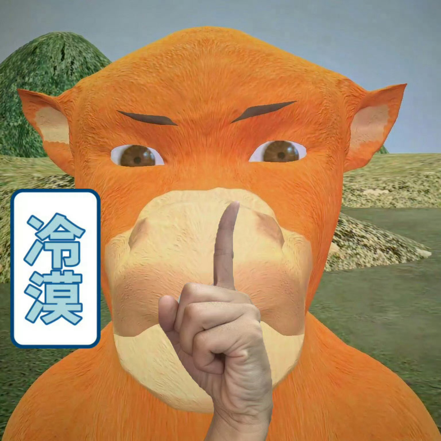 我宝的帅照呢？ 
