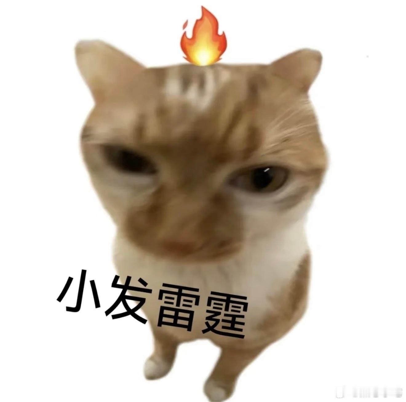 库克你的iPhone在北京烫吗库克，你的手机屏幕开最大亮度还说暗就暗吗？你的手机