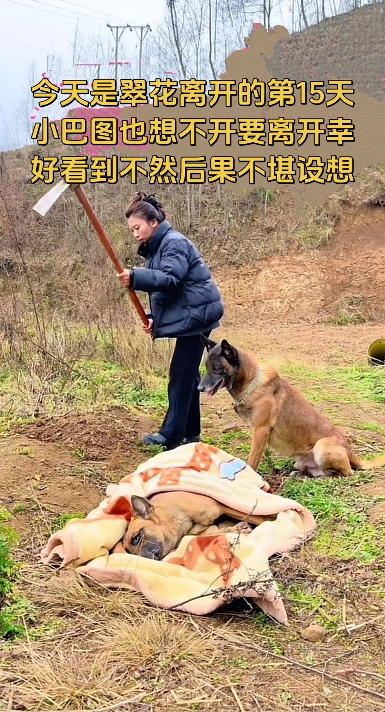 小巴图你要振作起来，你的妈妈不想看到你这样子，一定要好好的生活下去。