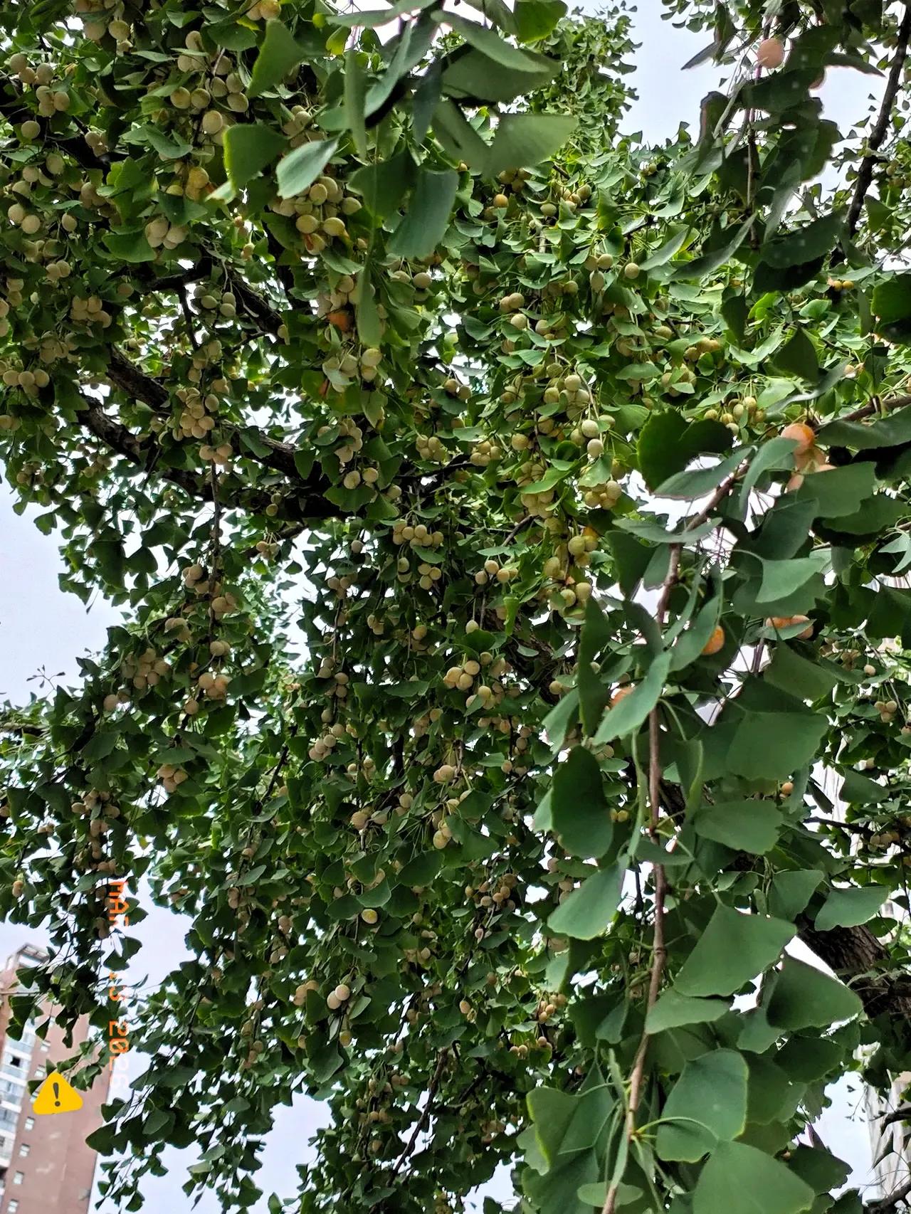 在A股混了整整22年，我看透了。

散户天天研究打板，天天追涨杀跌，全给主力当了