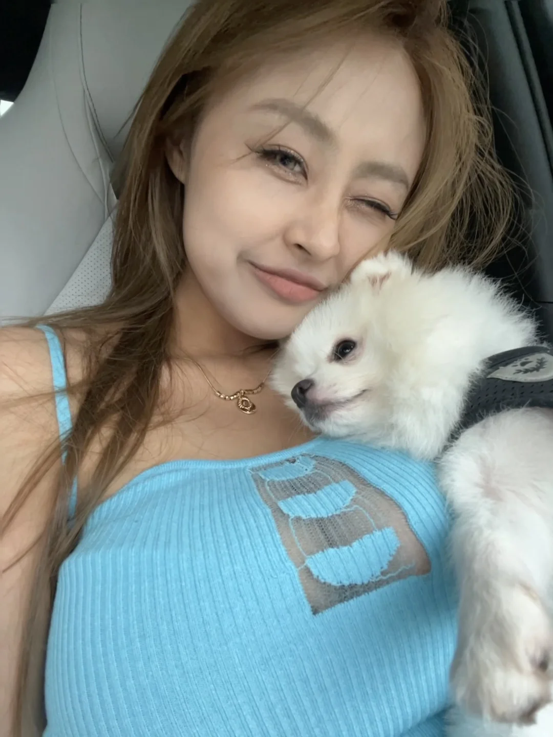 没办法 小狗给的实在太多了