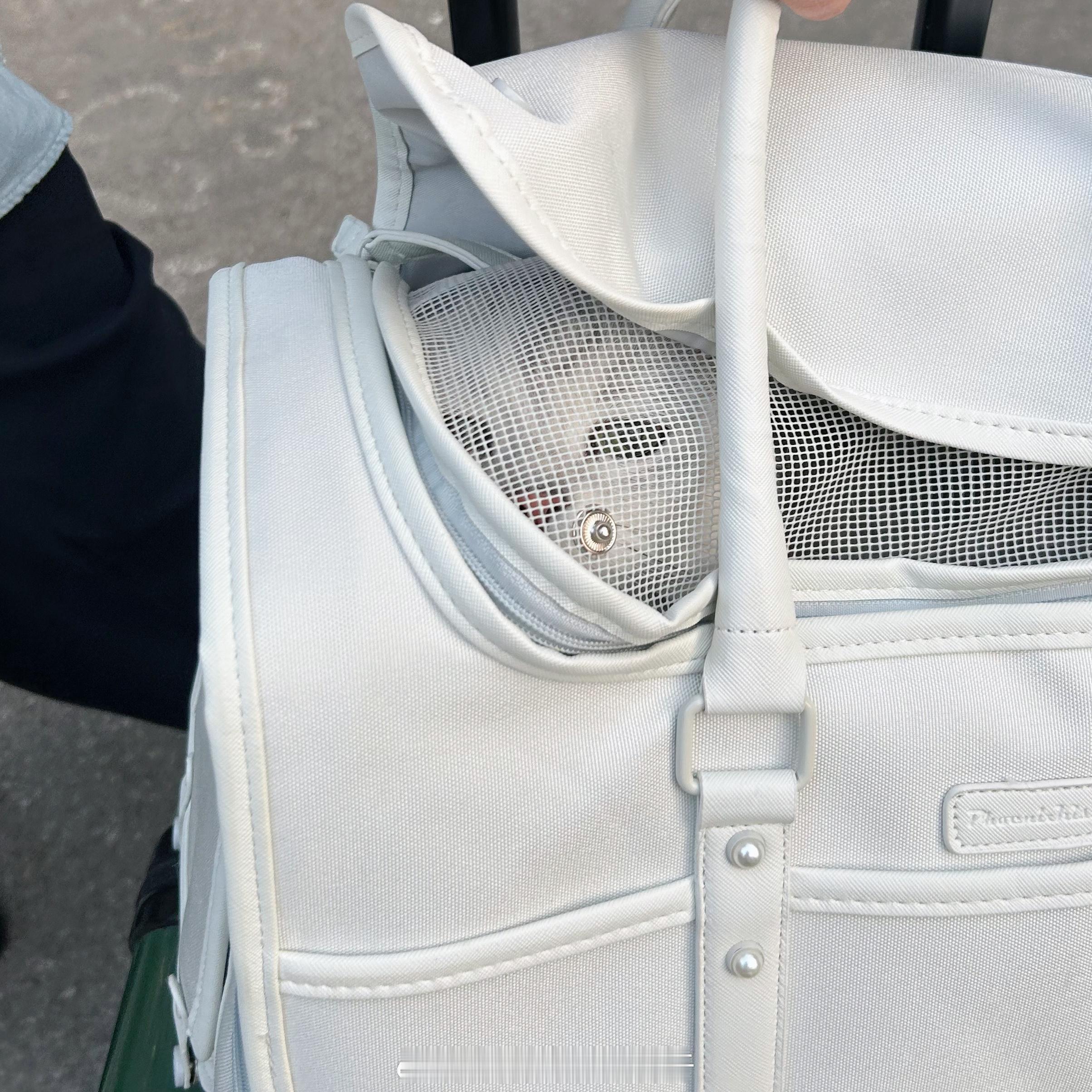 👀让我偷偷瞄一眼到哪了#喵趣横生# ​​​