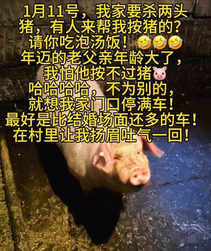 一个担心父亲按不住年猪的求助视频，
意外点燃了全国网友的热情，更引来了合川文旅局