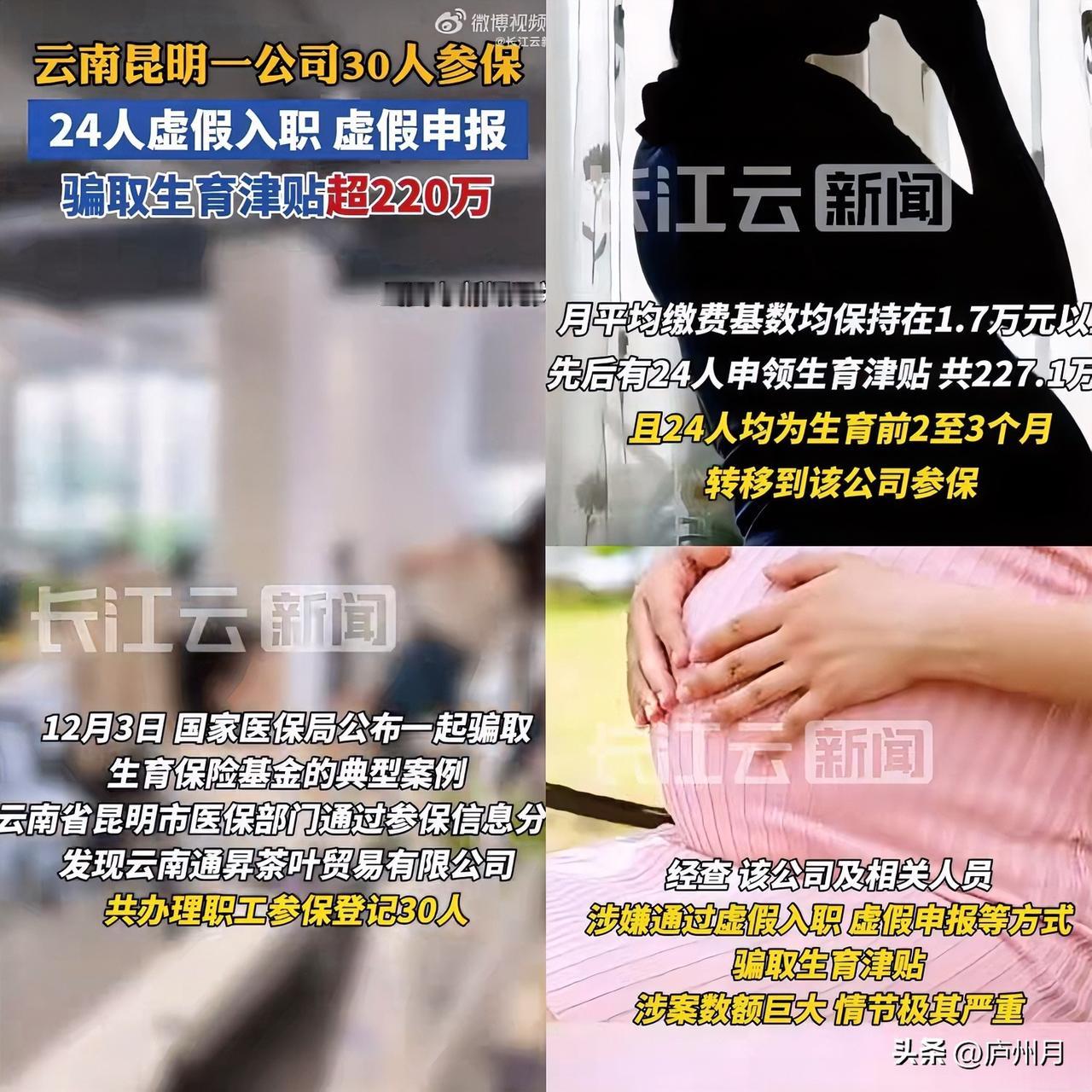 见过薅羊毛

但把生育津贴当羊毛薅，我是真的破防了！

云南昆明一公司，24人骗