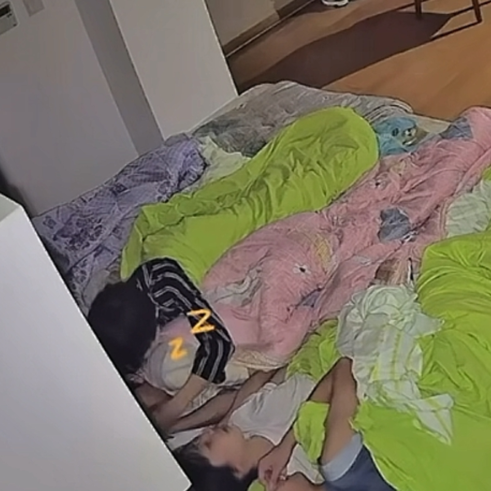 谁家的快领走 
