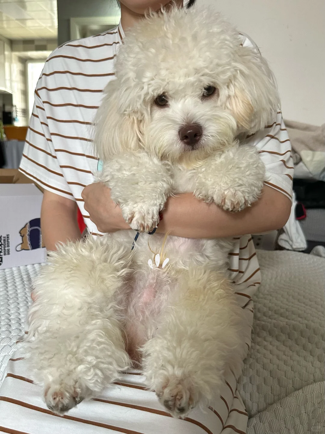 看我干嘛 是不是喜欢我吖