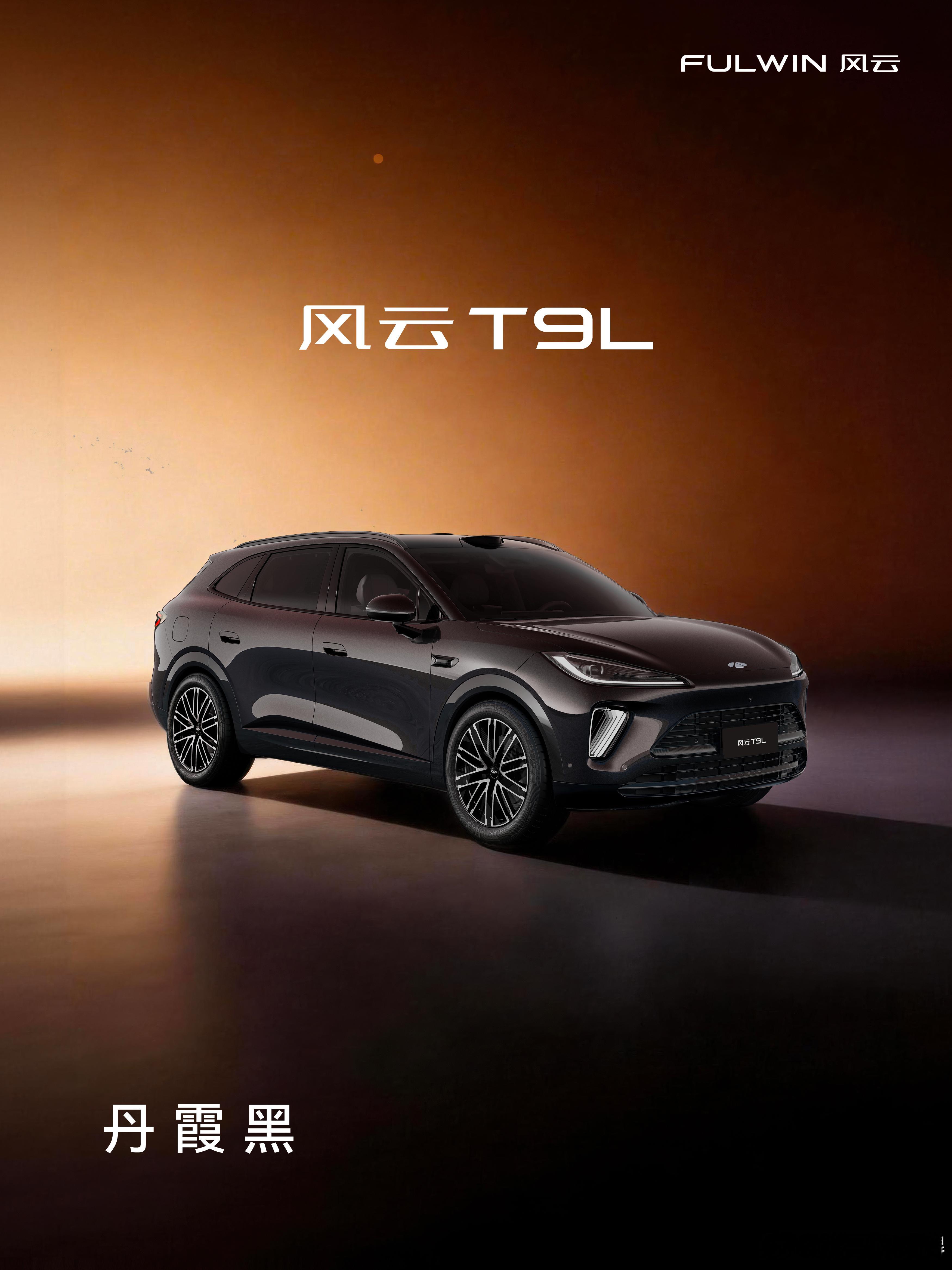 风云T9L 丹霞黑来自张掖丹霞破晓时分的生命底色阳光倾洒，车身上泛起红色的珠光阴