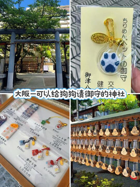 ✈️落地大阪，直冲小狗神社⛩，为小狗祈福🎋