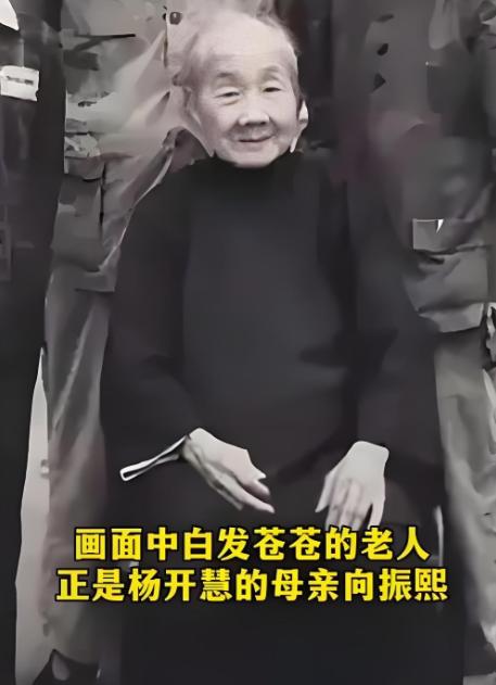 解放后，杨开慧的母亲向振熙老人跪地痛哭，她哭的不是逝去的女儿，而是替那个隐忍二十