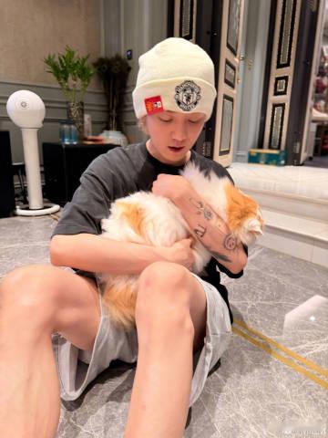 鹿晗的猫好大只养的真的是好肥好胖呀，一看就是手感很好的呀！好想rua 