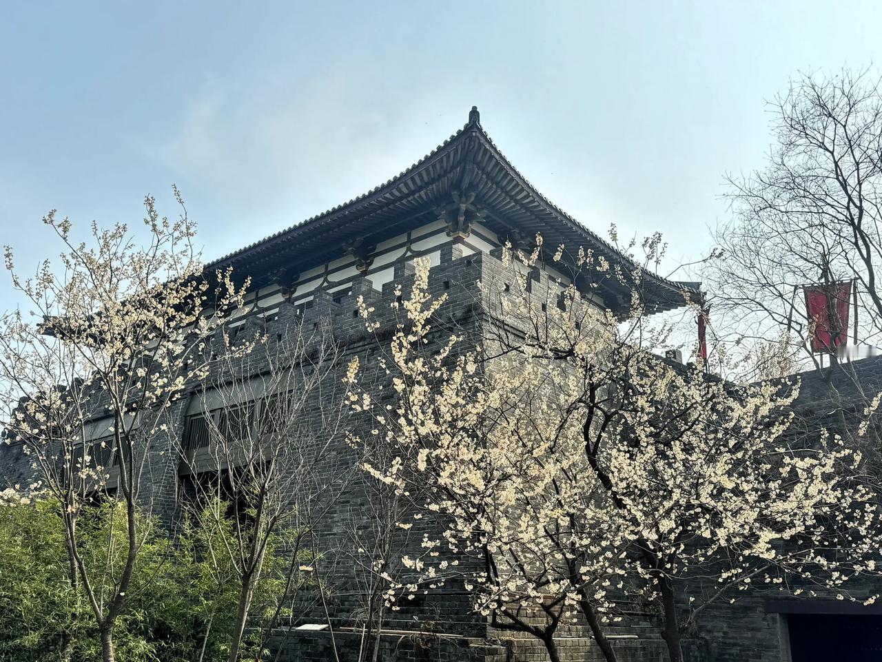 古城迎春