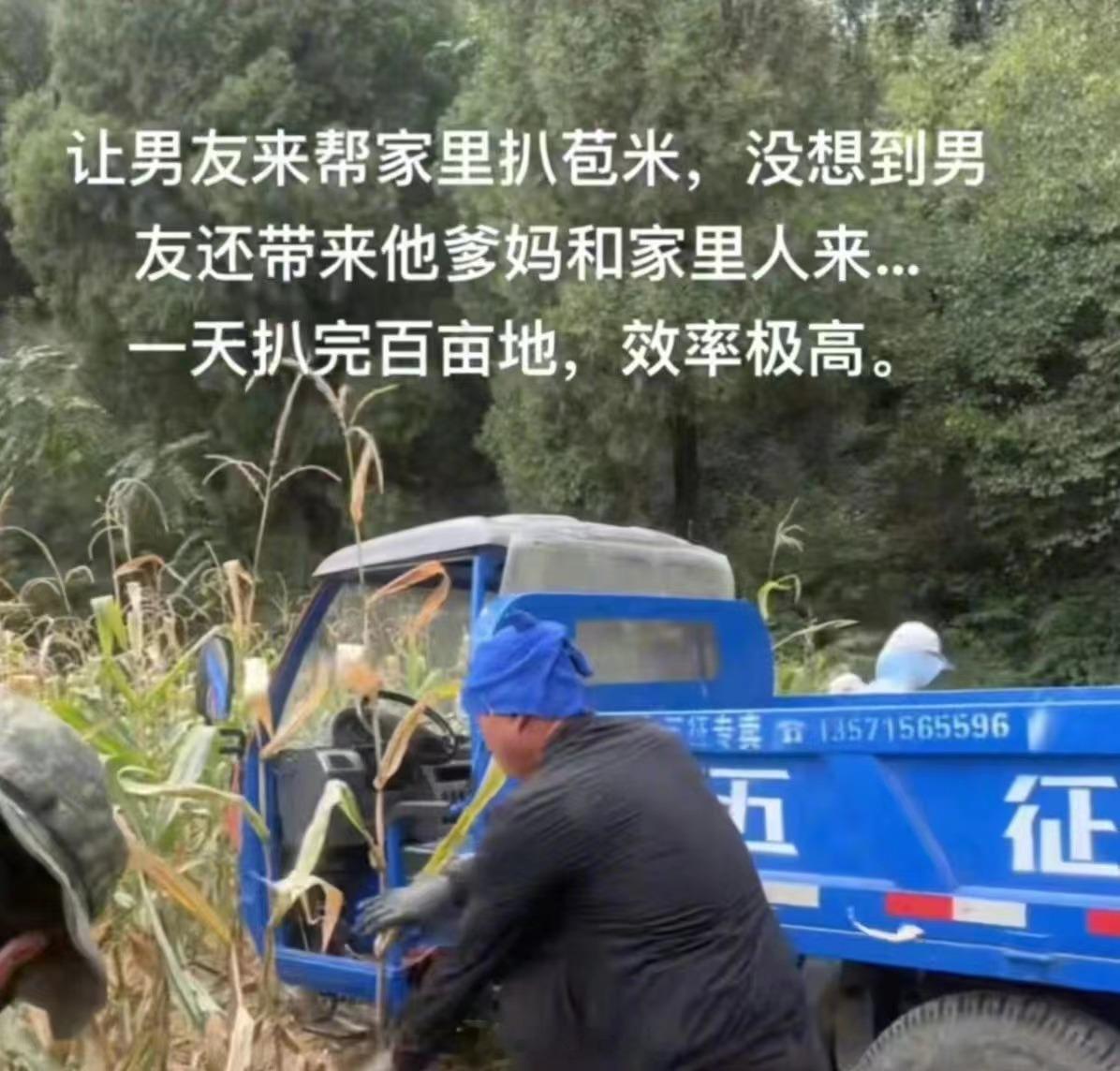 已经感觉到天塌了，还叫来这么多人，离谱了！！ ​​​