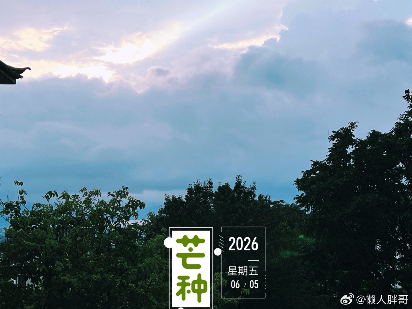 芒种 早