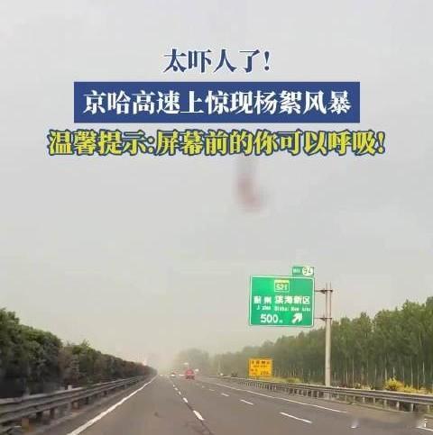 京哈高速杨絮风暴能见度不足1米京哈高速突遭杨絮漫天侵袭，能见度骤降至不足一米，严
