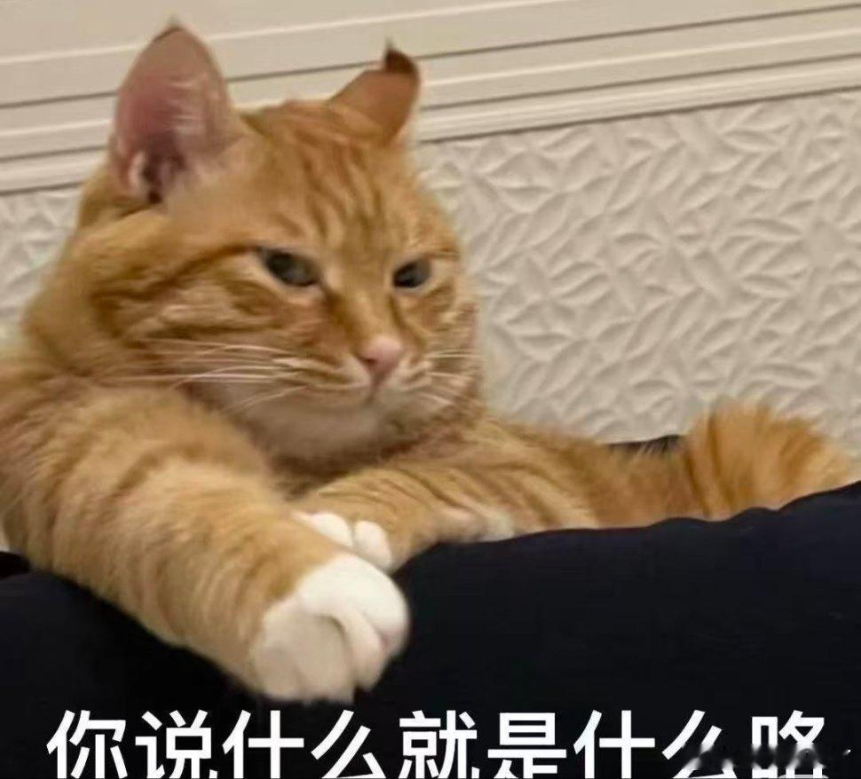 聊天必备表情包。 