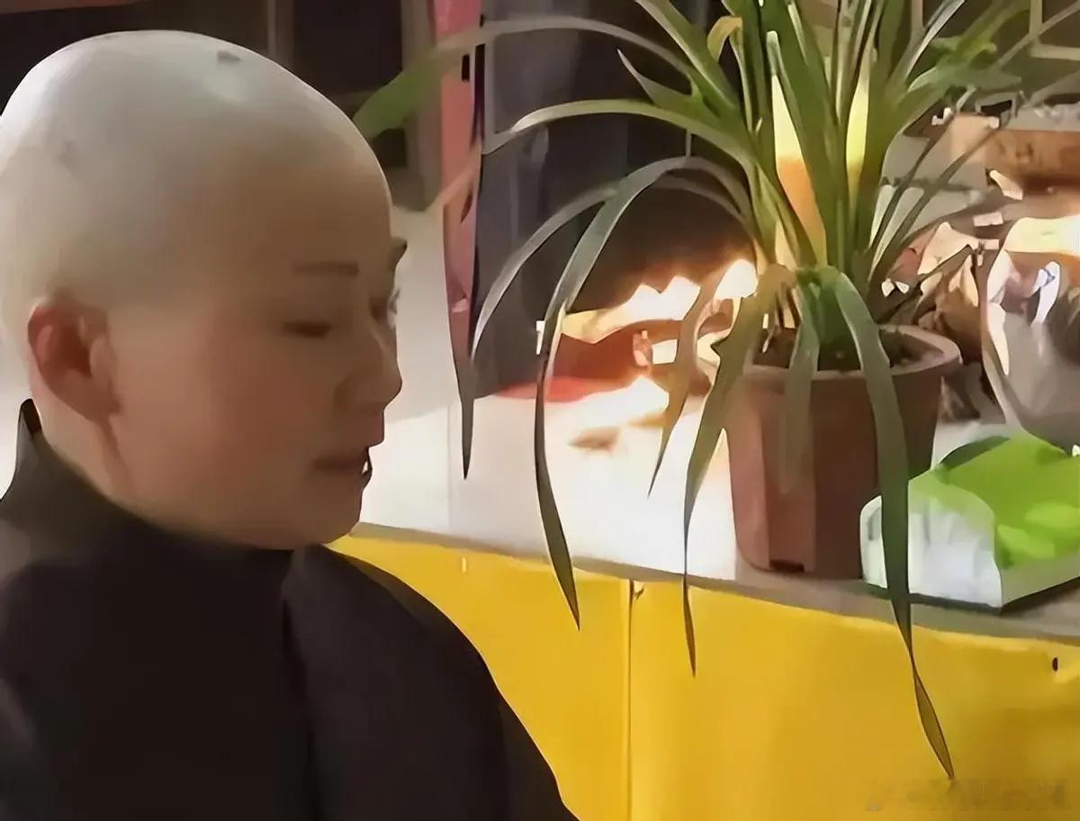 “花尼姑”释智定，住千万豪宅，与两个和尚结婚，把寺庙当摇钱树！ ​​​