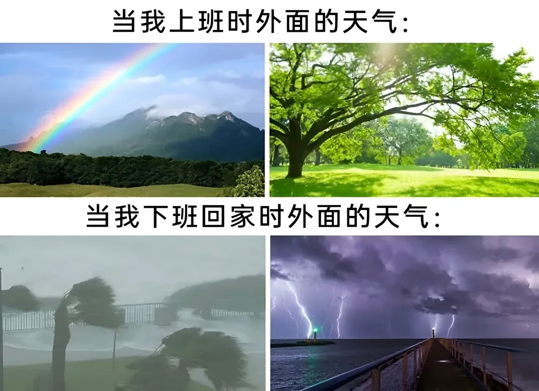 这么好的天气我应该在西双版纳，而不是一边上班一边担惊受怕meme