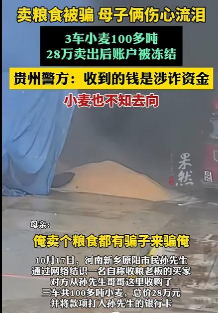 卖小麦收28万却被冻结母子痛哭，我要替农民说几句话，农民种点小麦，收点粮食，卖点