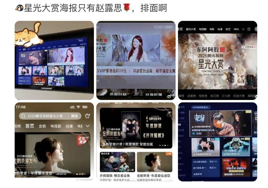 精明的鹅是知道谁是爆款制造机的，不像有的剧花钱都没奖。 