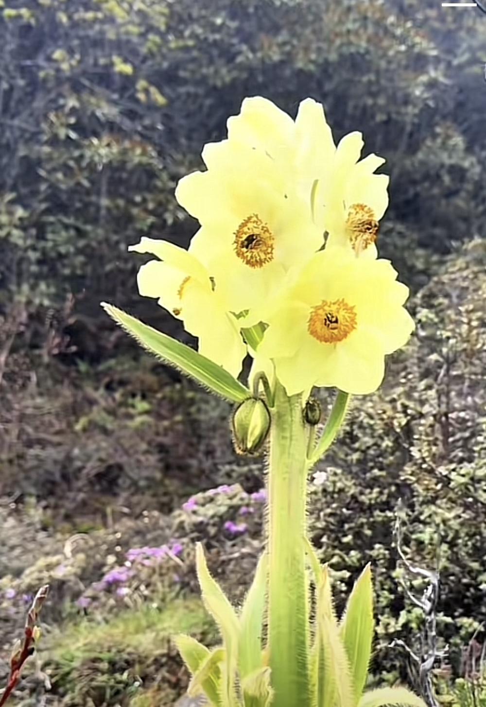 我们的市场仅仅4000点左右，但是我们的经济发展还是足够强劲的，即使我们的世界出