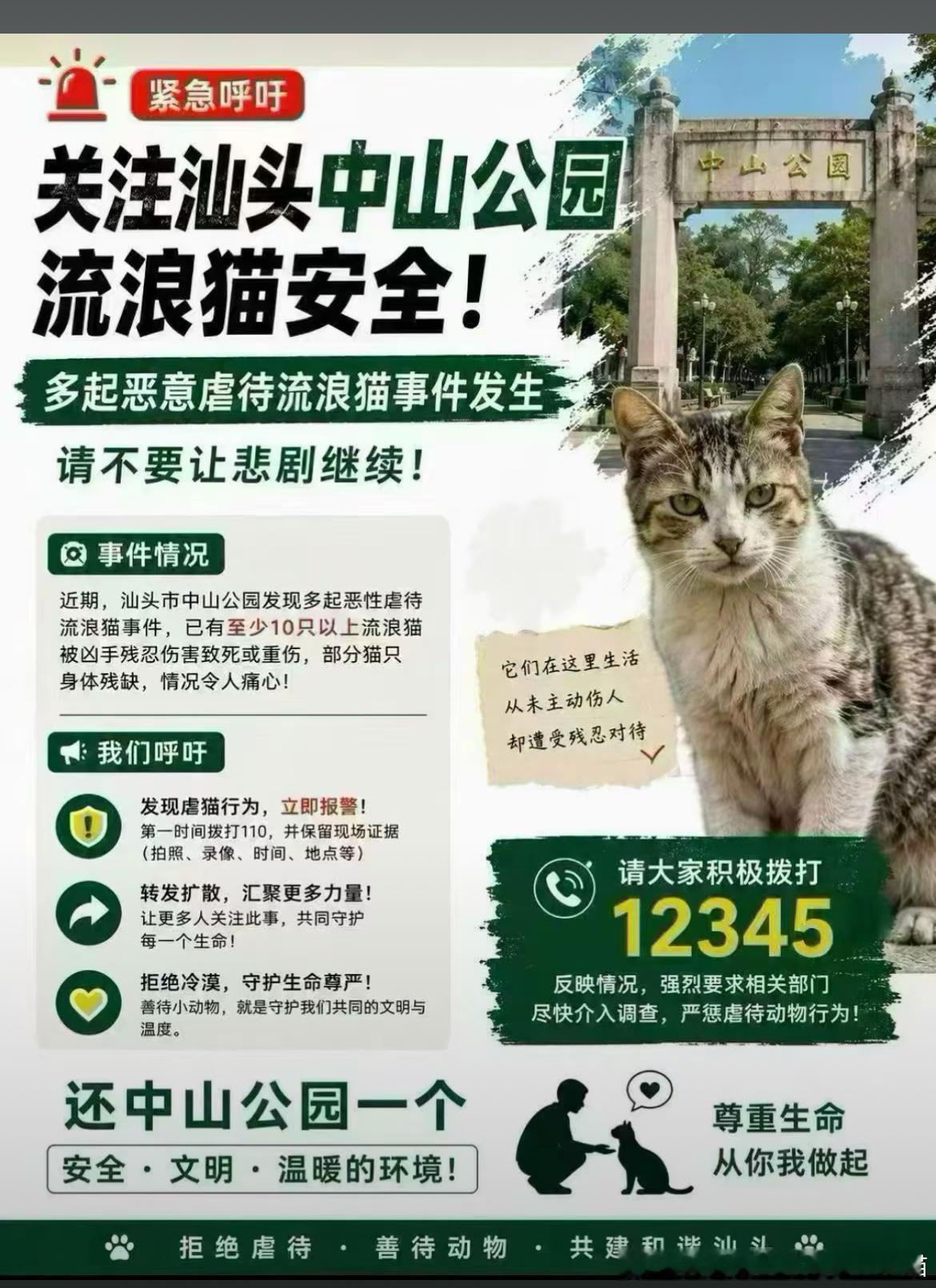 49503【虽然不是关于丑猫sorry…】汕头的宝宝看看不要让这些now mor
