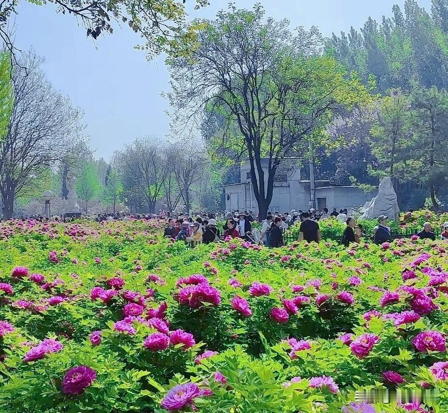 为何经济形势发展越来越差了，原因是因为现在大多数的年轻人都不想改变与努力了，而一