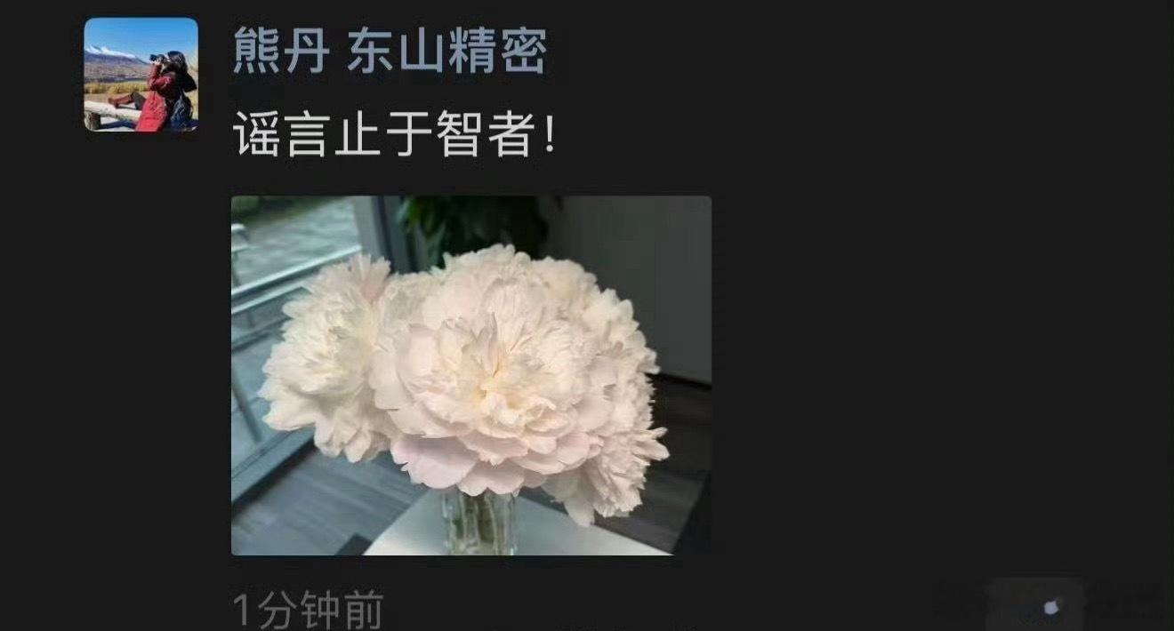 东山精密跌停这是啥意思？又在辟谣什么？