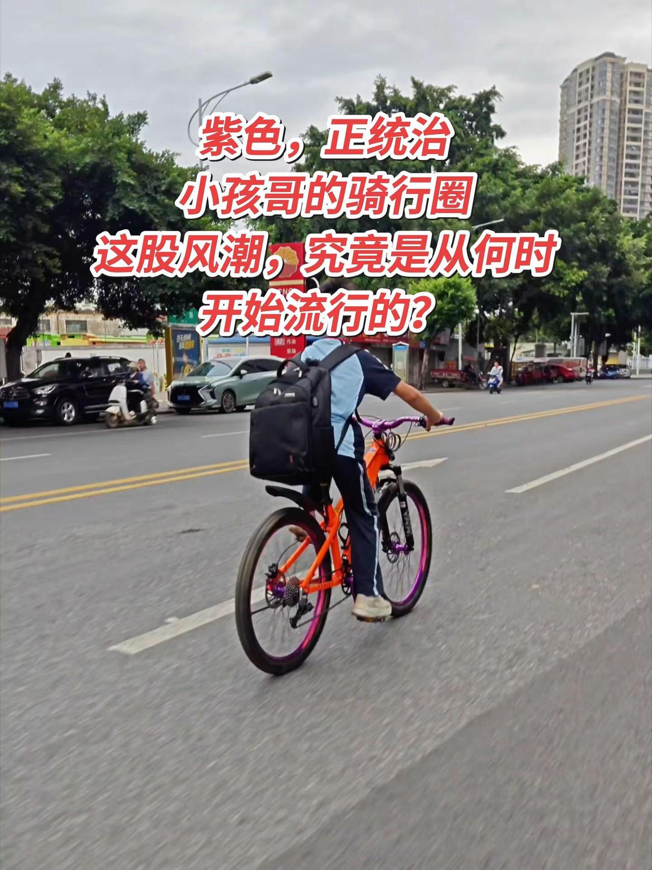 紫色已统治小孩哥的话骑行圈，紫色车把，紫色车架，紫色车圈，紫色脚踏……这股风潮是