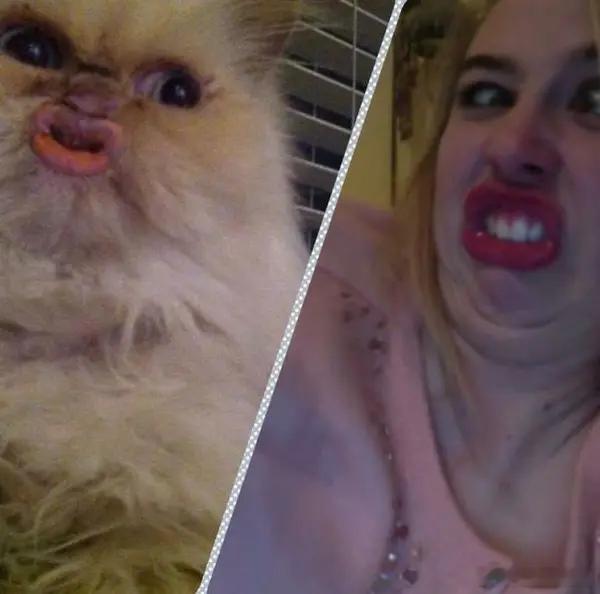 杨幂嫌弃董璇拍照拍得差还不如不拍 