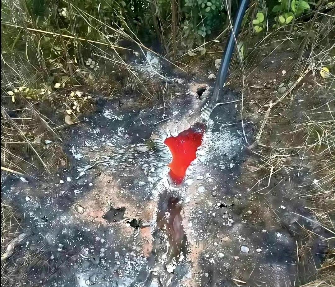 这就是高压电线的威力，还好是落在地上。