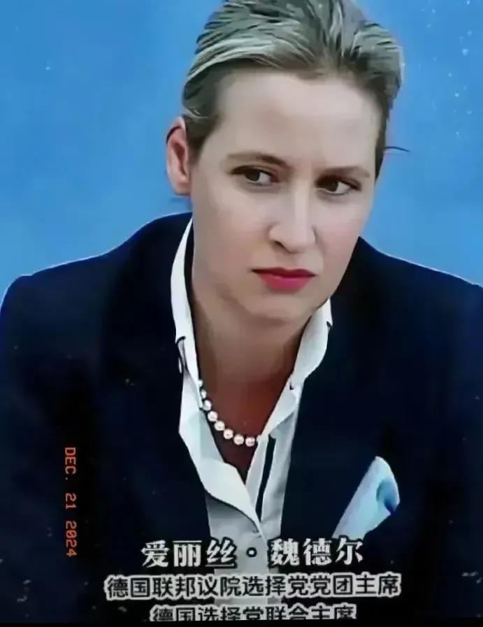 好消息！
德国大选传来好消息！
魏德尔的支持率上升至第一，铁娘子魏德尔在平安夜的