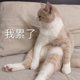 小幸运爱逛娱乐