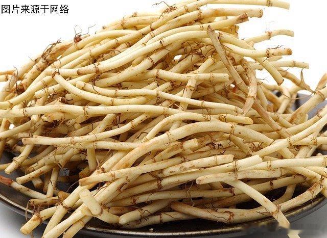 肺病圣药鱼腥草之认识鱼腥草虽然很多中药都有别名，但是鱼腥草的名字由来很有意思。在