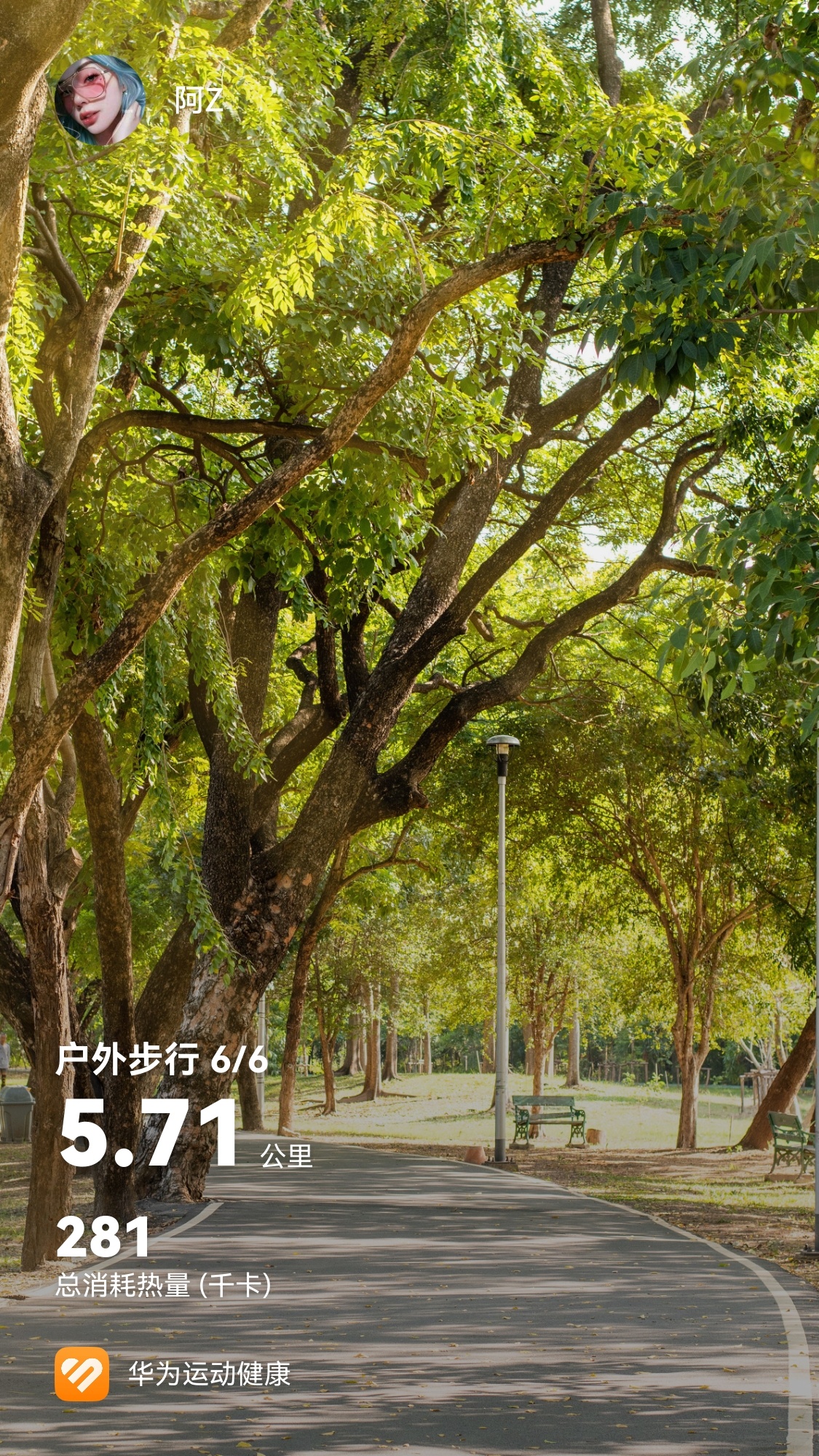 生活手记 
