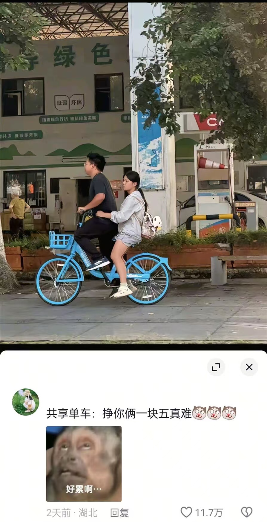 共享单车:挣你俩一块五真难 
