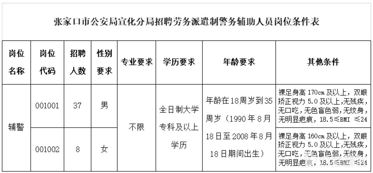 🔥🔥🔥【河北张家口】张家口市公安局宣化分局2026年公开招聘劳务派遣制警务