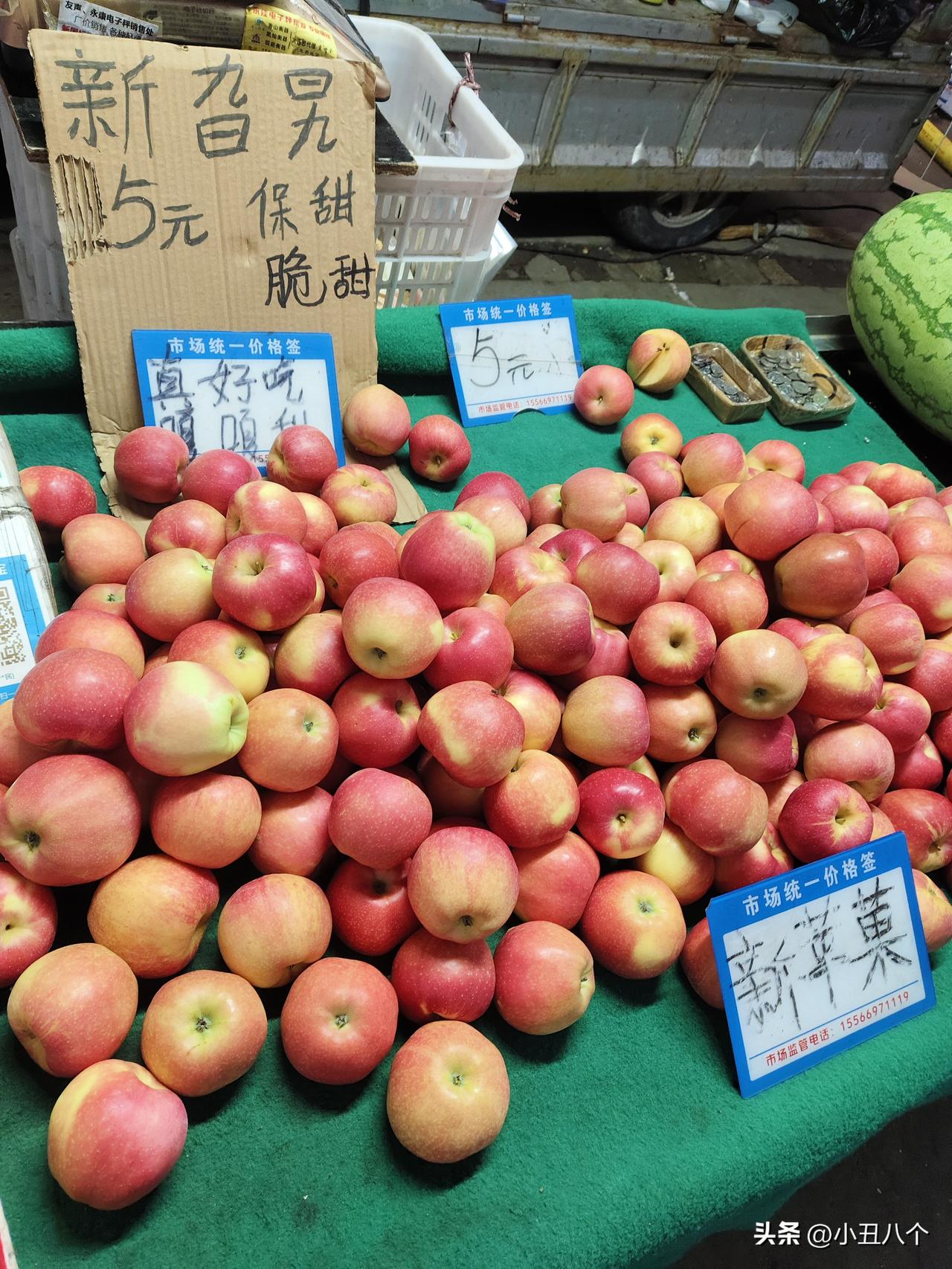 昨天去西林街那边的桃子李子价格还可以，还买了一点大个的香蕉李子，大红袍四元一斤也