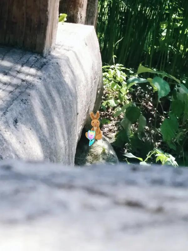 《虹猫蓝兔七侠传》时隔20年正式回归啦！2月24日（年初八）起，每晚18:00在