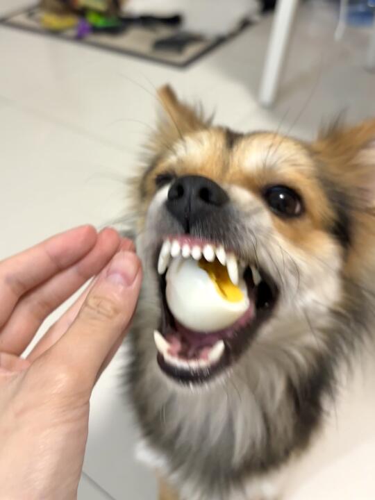 烫烫烫烫烫烫烫烫！！