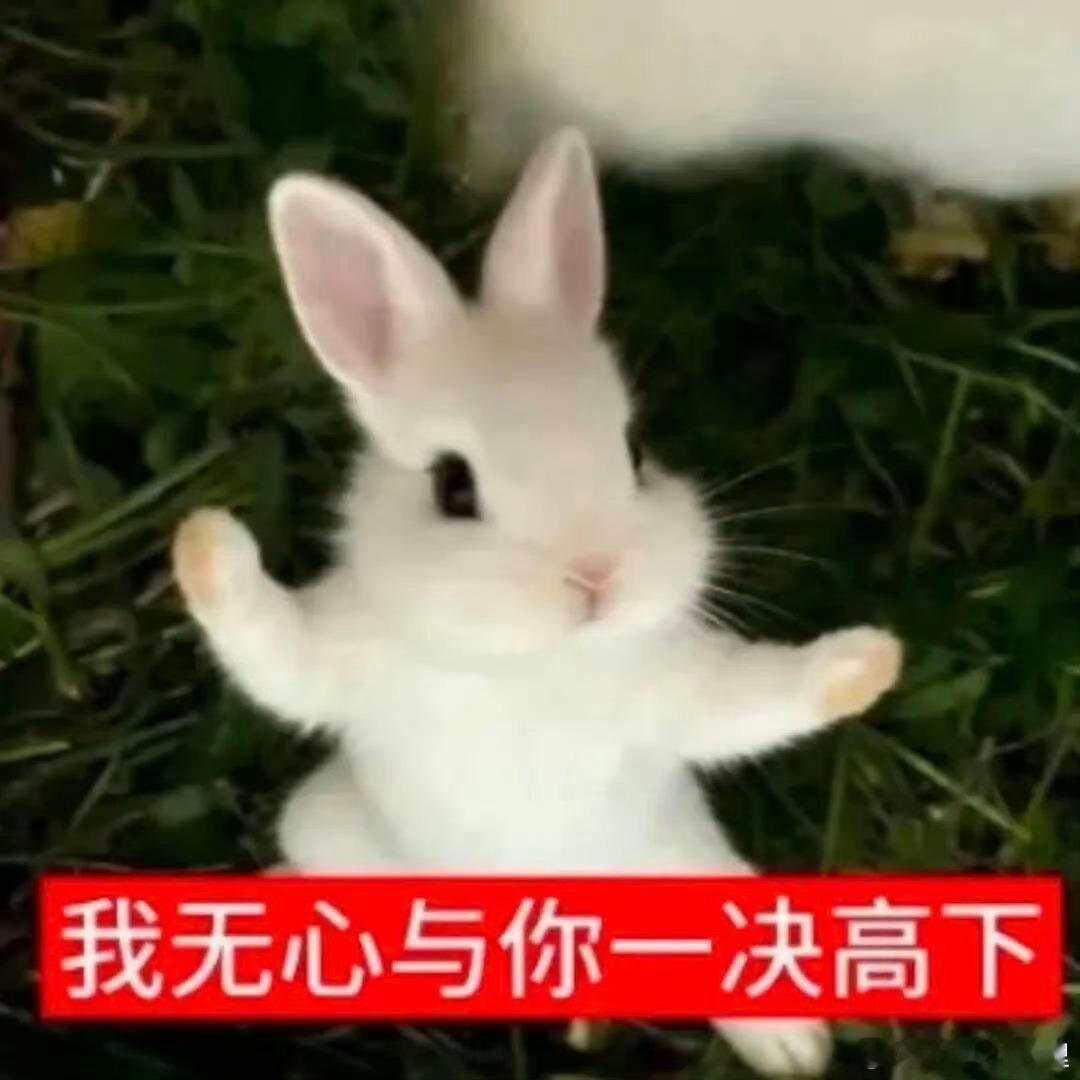 早安吃个面条吧～啦啦啦～ 