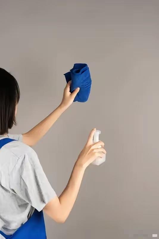 我们找家里擦玻璃的，四个房间就要五百，一个钟头干完（俩保洁），京东保洁真便宜？