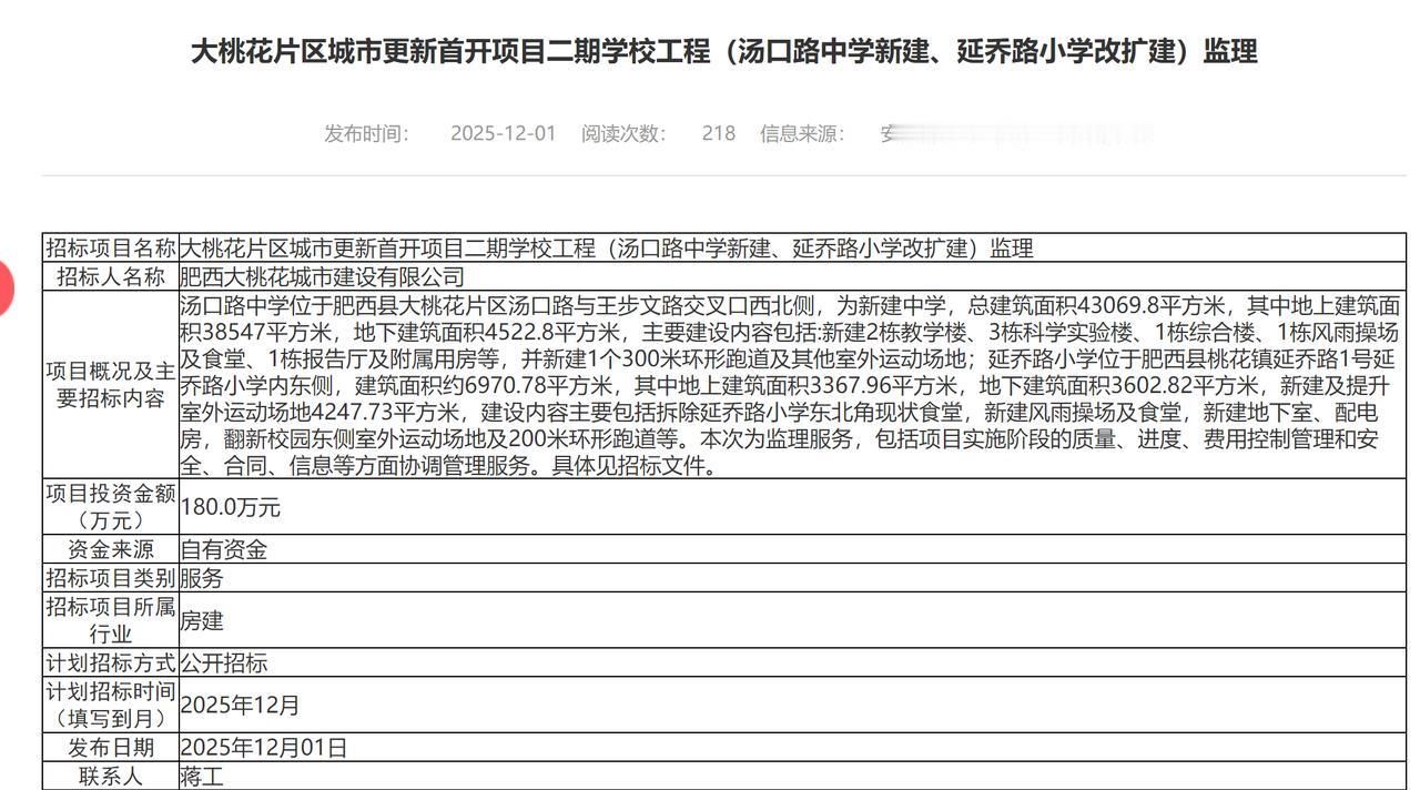 合肥肥西大桃花片区城市更新首开项目二期学校工程（汤口路中学新建、延乔路小学改扩建