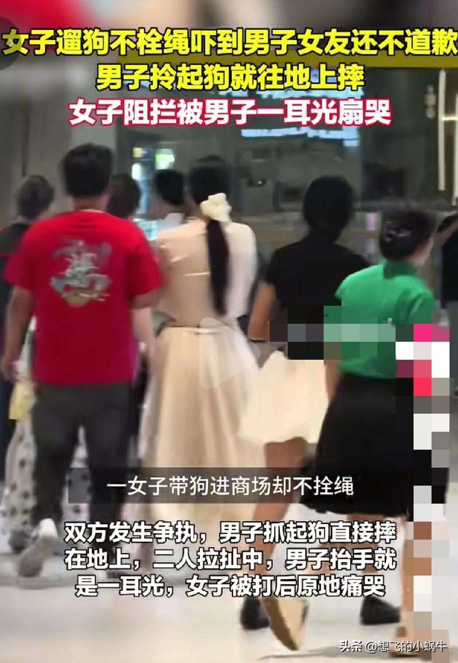 男子一巴掌打的好，摔狗摔的好，就该这样惩罚那些带狗出入公共场合还不拴狗绳的没素质
