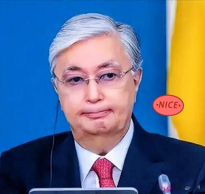 不要小瞧了哈萨克斯坦！托卡耶夫2025年12月19日在东京联合国大学演讲时，那句