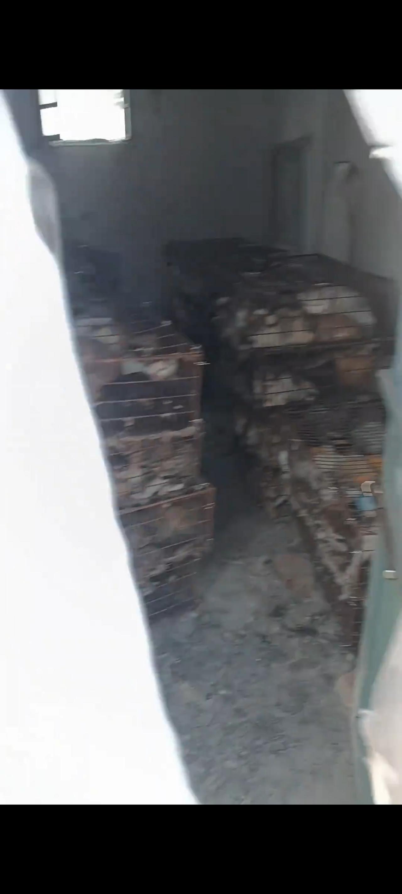 当爱心人士和志愿者从一栋废弃的民房里面，缓慢掀开帘布的一刹那，里面整整齐齐摆放的